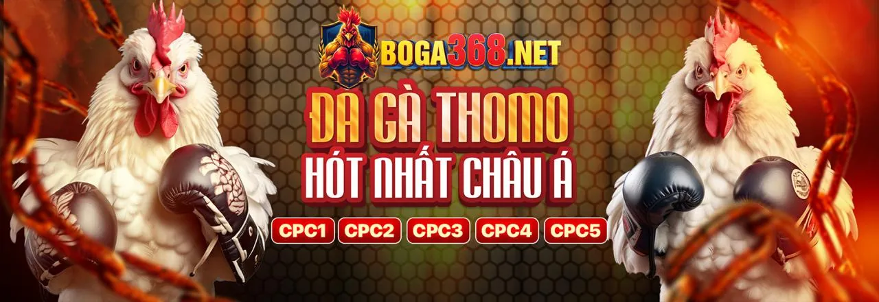 Hình ảnh minh họa các loại tiền thưởng 2233win