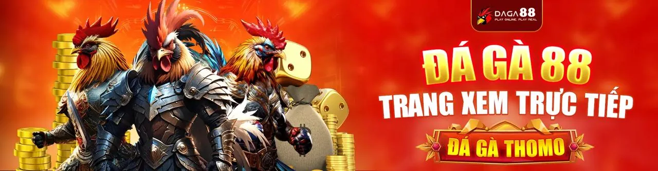 Chính sách công bằng và minh bạch của 2233win